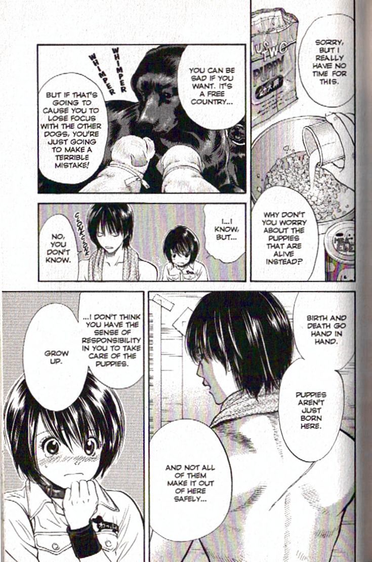 Inubaka Chapter 91 page 7 - Chapter 91: Big news
