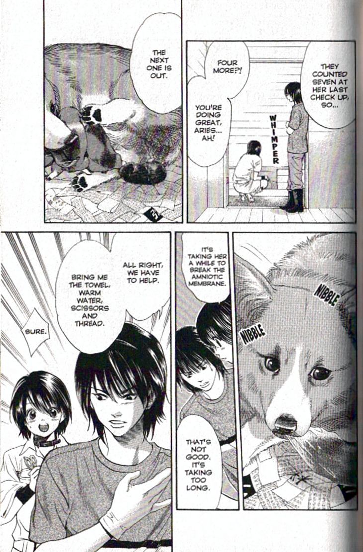 Inubaka Chapter 92 page 11 - Chapter 92: Hello, Puppy