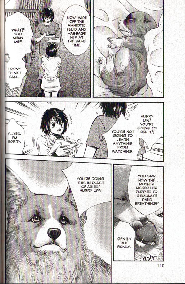 Inubaka Chapter 92 page 12 - Chapter 92: Hello, Puppy