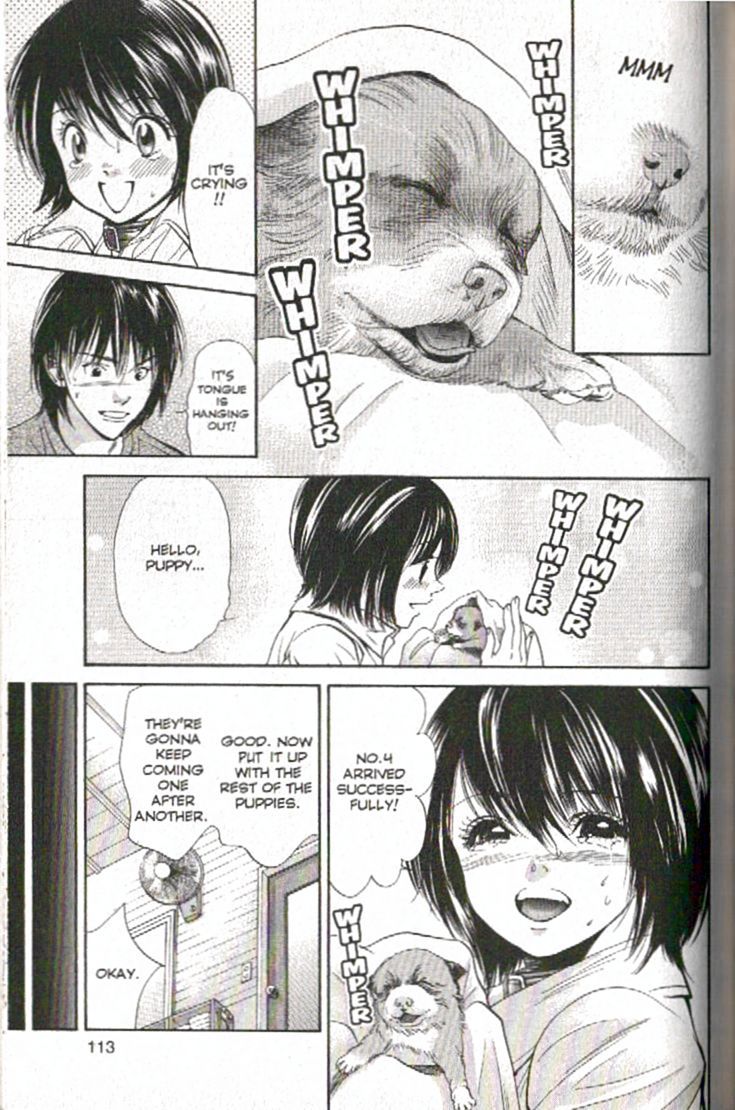 Inubaka Chapter 92 page 15 - Chapter 92: Hello, Puppy