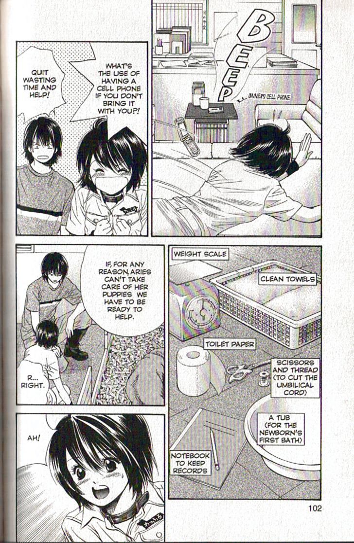 Inubaka Chapter 92 page 4 - Chapter 92: Hello, Puppy