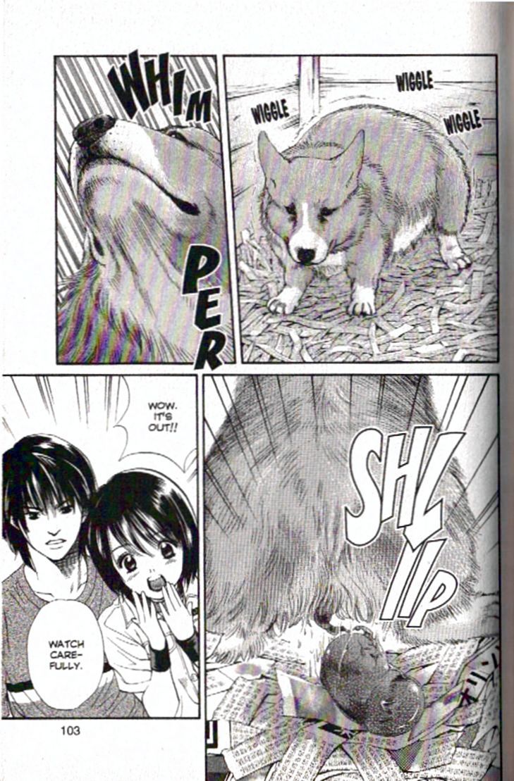 Inubaka Chapter 92 page 5 - Chapter 92: Hello, Puppy