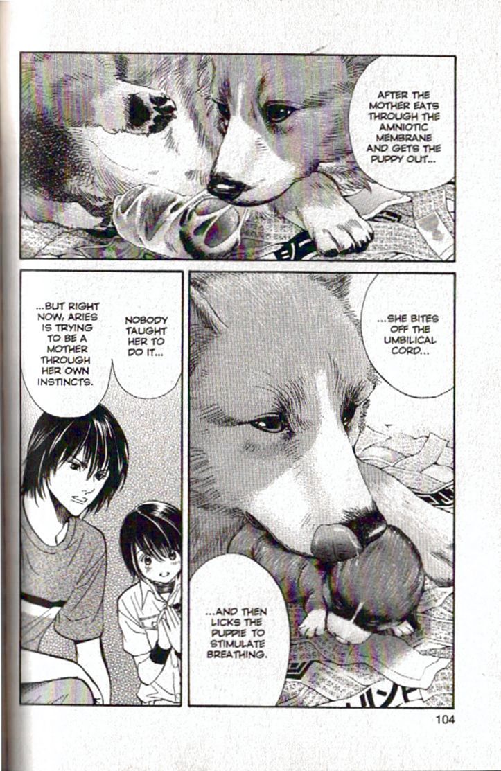 Inubaka Chapter 92 page 6 - Chapter 92: Hello, Puppy