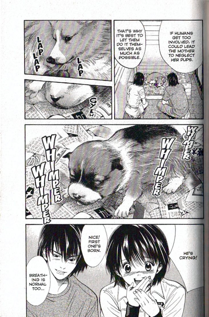 Inubaka Chapter 92 page 7 - Chapter 92: Hello, Puppy