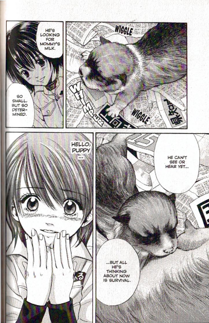 Inubaka Chapter 92 page 8 - Chapter 92: Hello, Puppy