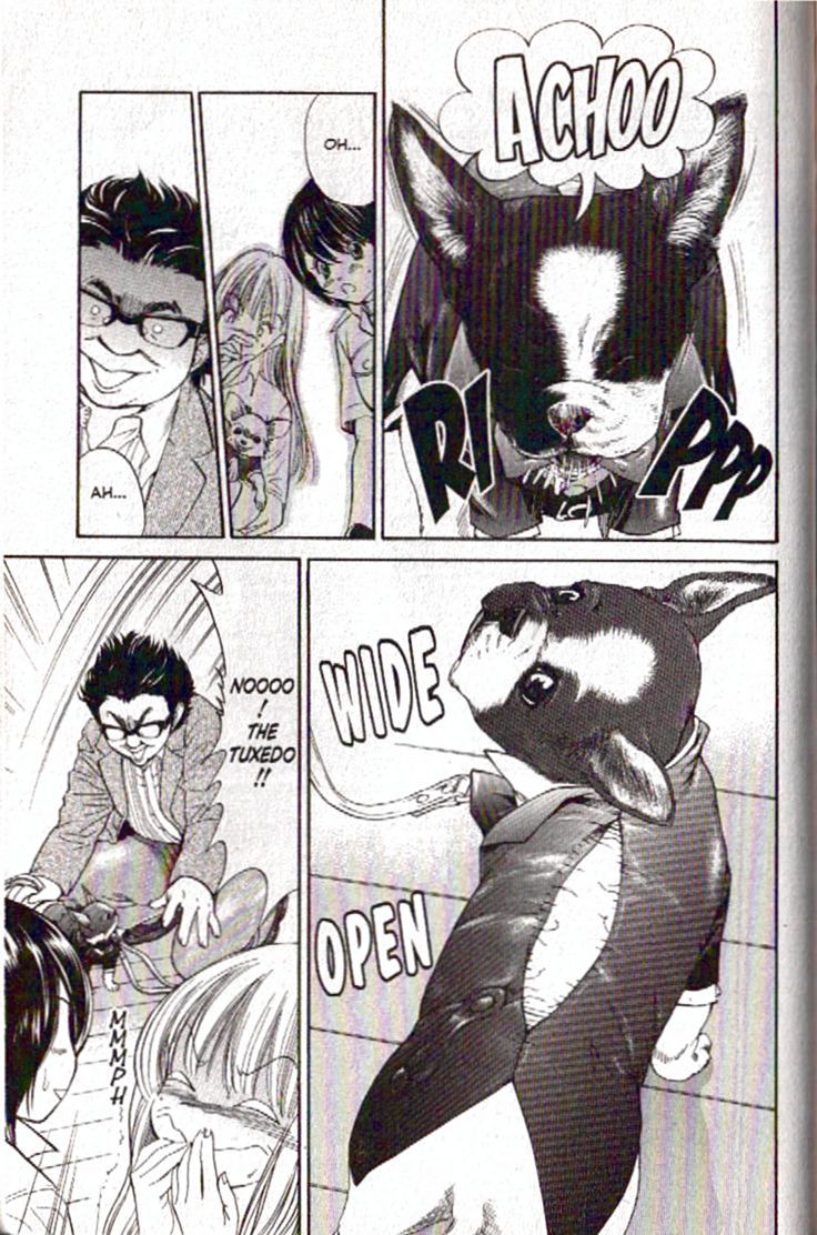 Inubaka Chapter 97 page 13 - Chapter 97: Dog Photo Exhibit