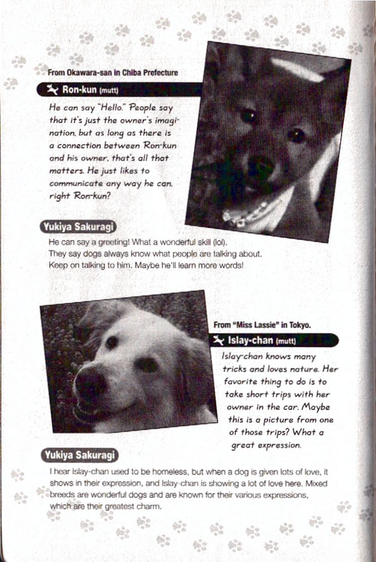 Inubaka Chapter 97 page 21 - Chapter 97: Dog Photo Exhibit