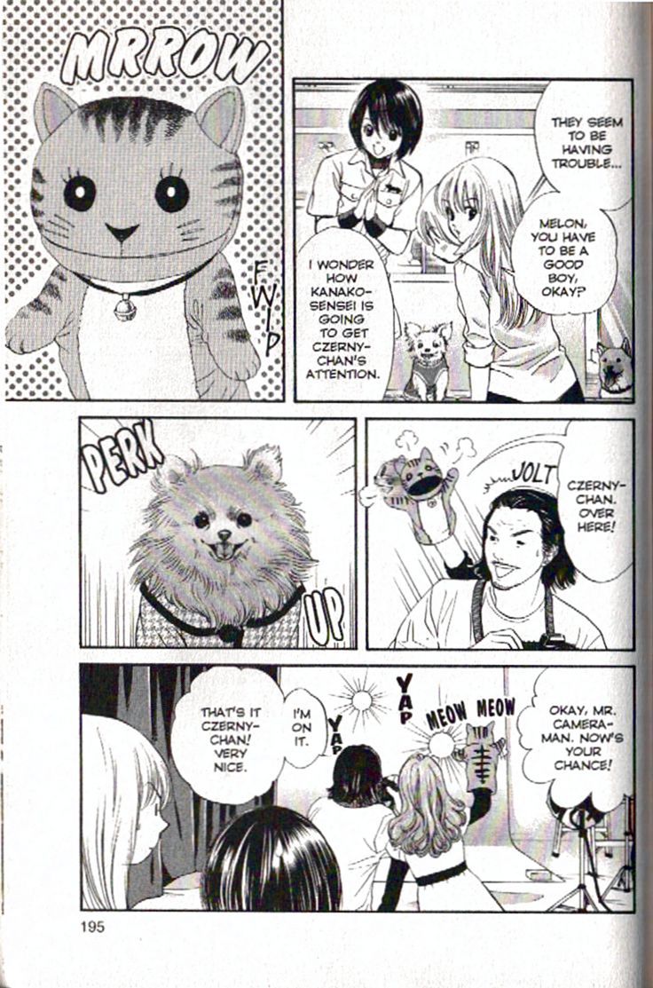 Inubaka Chapter 97 page 7 - Chapter 97: Dog Photo Exhibit