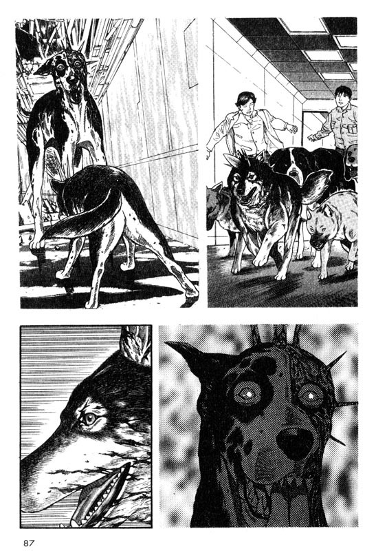 Inugami Chapter 17 page 6 - Chapter 17: Reunion