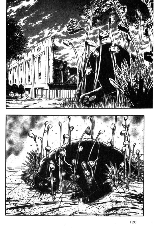 Inugami Chapter 2 page 18 - Chapter 2: The Tree of Life