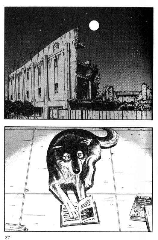 Inugami Chapter 21 page 29 - Chapter 21: Tokonoyo, The Imaginary Country