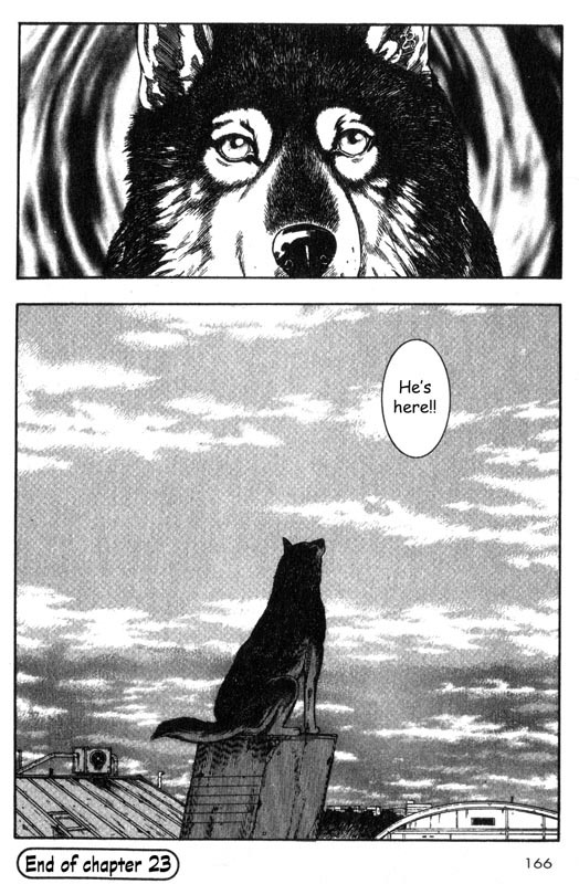Inugami Chapter 23 page 37 - Chapter 23: Premonition of Separation