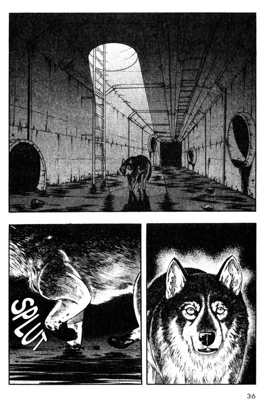 Inugami Chapter 25 page 35 - Chapter 25: The New Species