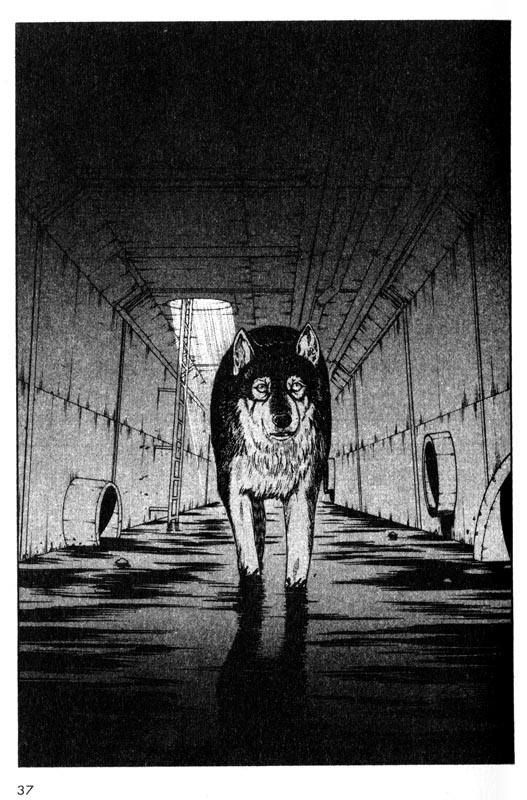 Inugami Chapter 25 page 36 - Chapter 25: The New Species