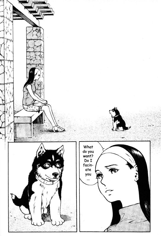 Inugami Chapter 48 page 36 - Chapter 48: Bird of Ill Omen