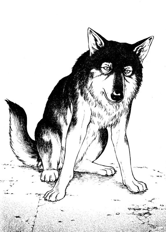Inugami Chapter 71 page 18 - Chapter 71: Promise