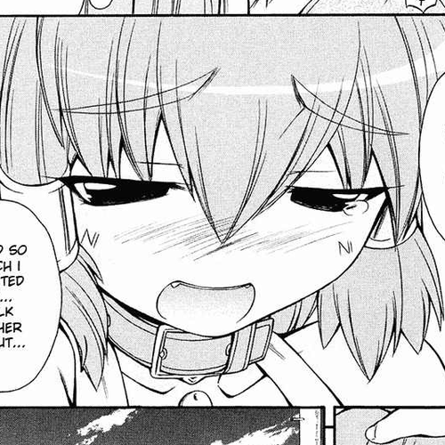 Inumimi Chapter 12 cover