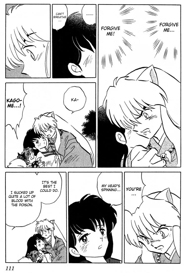 InuYasha Chapter 244 page 17 - Chapter 244: The Lives of Friends