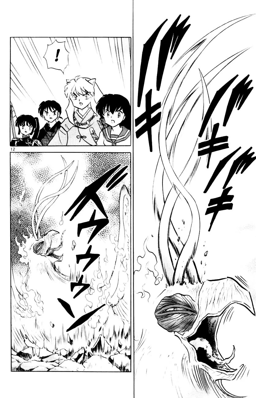 InuYasha Chapter 317 page 13 - Chapter 317: Tekkei