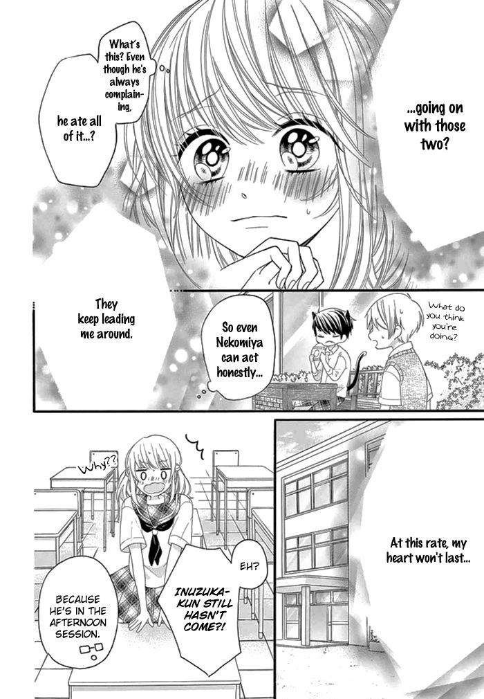 Inuzuka-kun to Nekomiya-sama Chapter 0 page 13 - Chapter 0