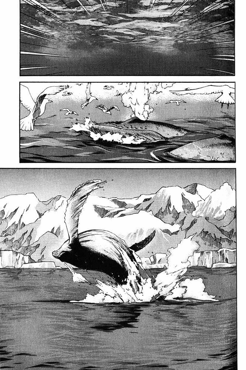 IO Chapter 39 page 15 - Chapter 39