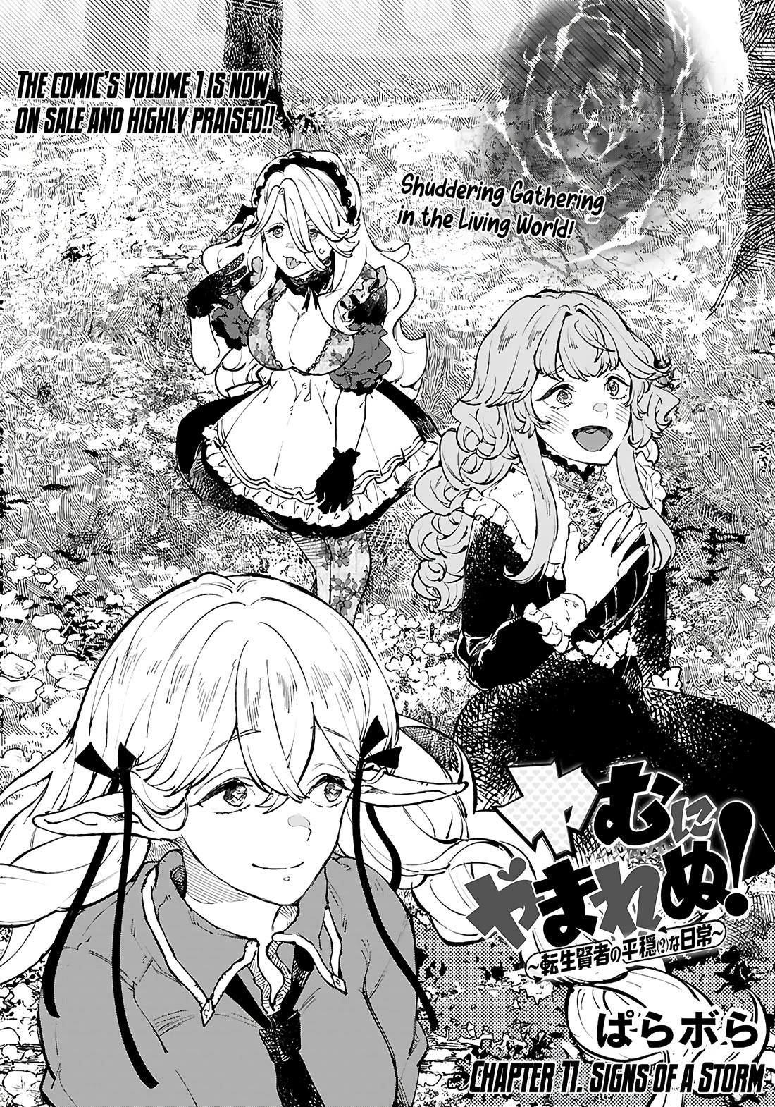 Irresistible! The Ordinary(?) Daily Life of a Reincarnated Sage Chapter 11 page 2 - Chapter 11: Signs of a storm