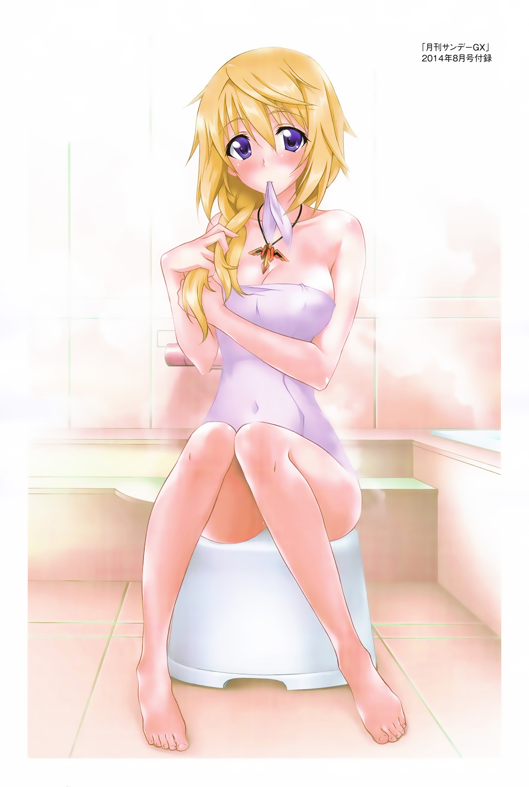 IS (YUUKI Homura) Chapter 12 page 7 - Chapter 12 : My Roommate is a Blonde Gentleman