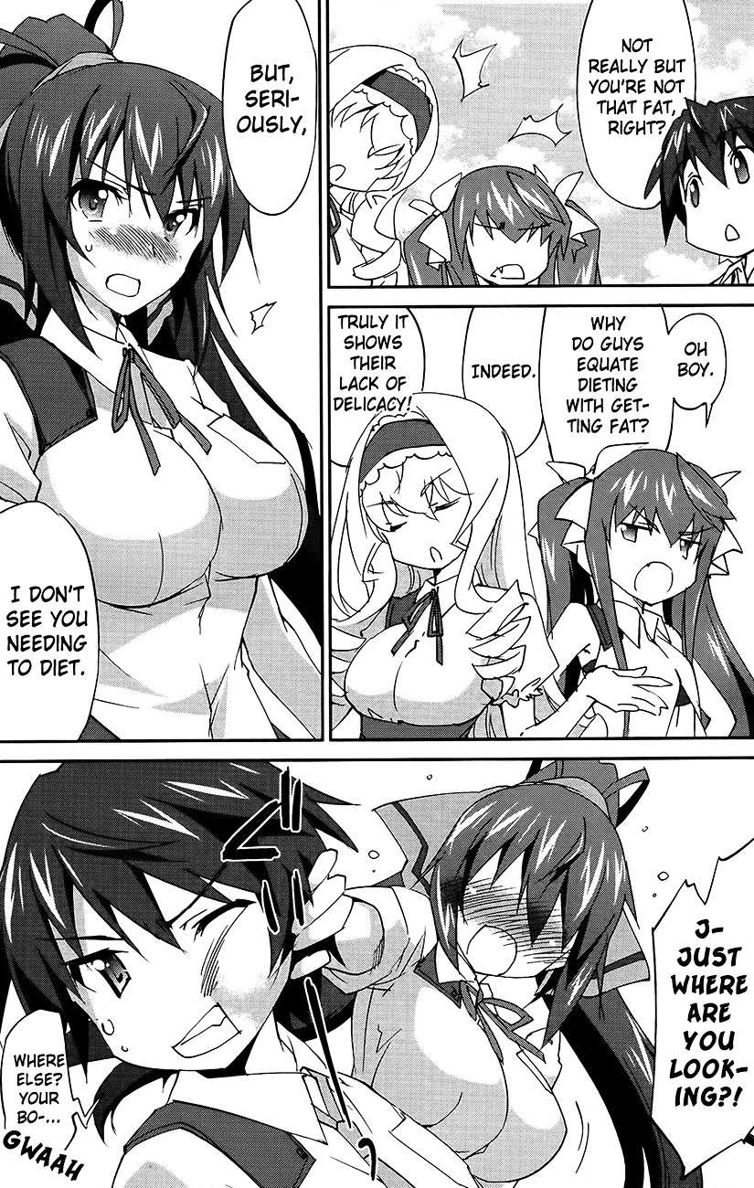 IS (YUUKI Homura) Chapter 13 page 14 - Chapter 13 : My Roommate is a Blonde Gentleman Part 2