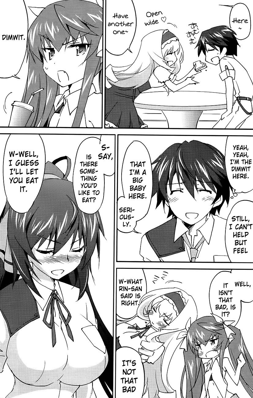 IS (YUUKI Homura) Chapter 13 page 26 - Chapter 13 : My Roommate is a Blonde Gentleman Part 2