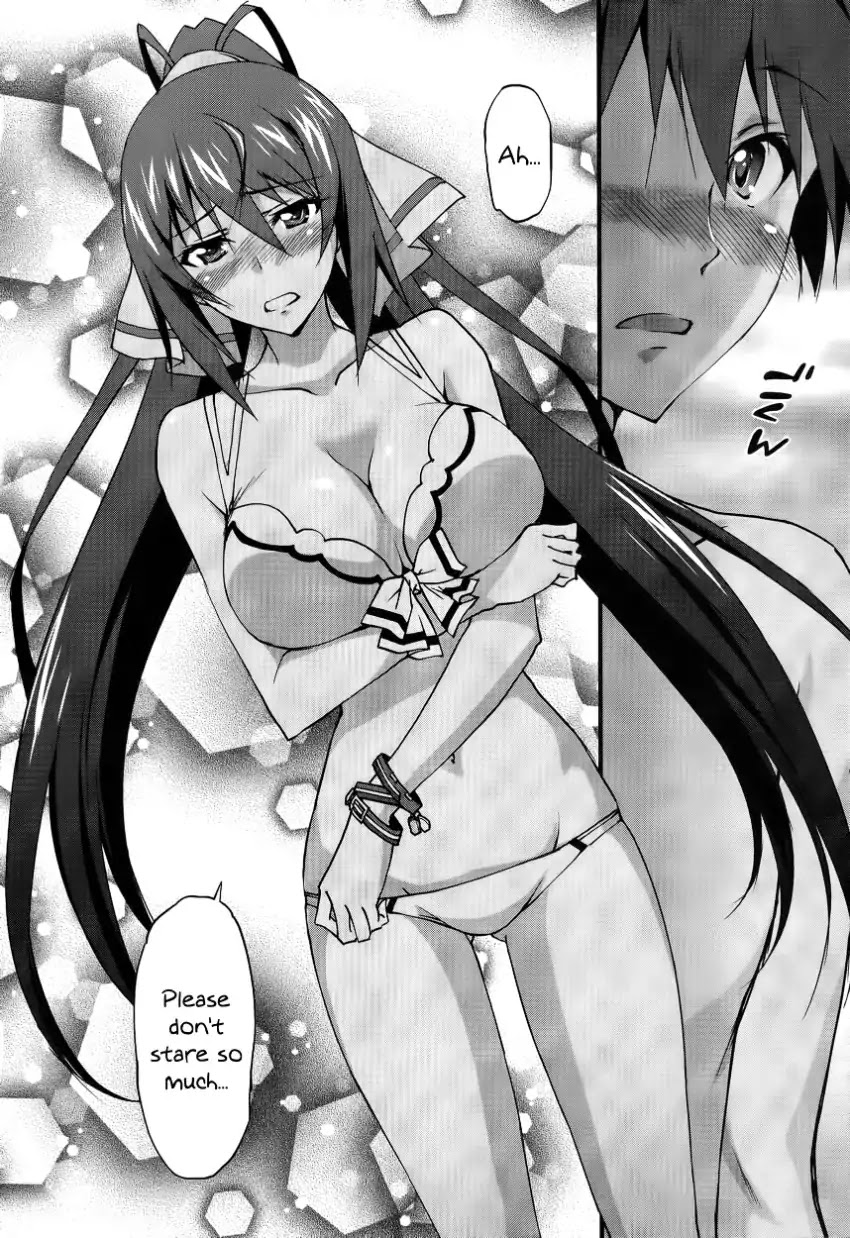 IS (YUUKI Homura) Chapter 30 page 11 - Chapter 30: Your Name Is...