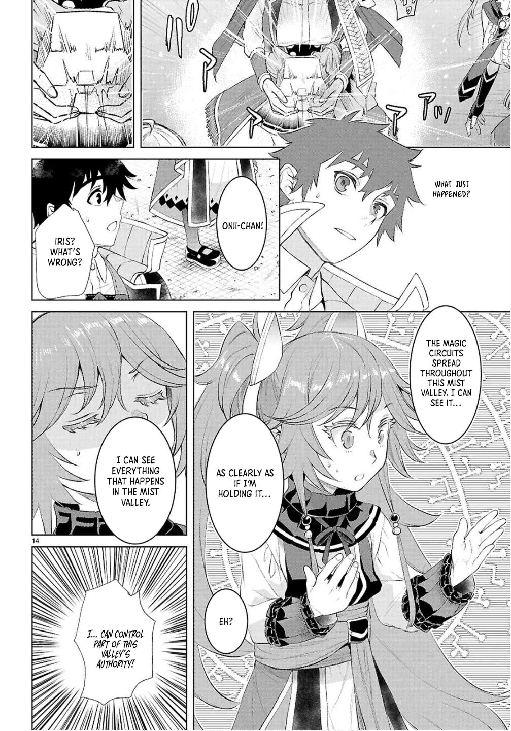 Isekai de Skill wo Kaitai shitara Cheat na Yome ga Zoushoku Shimashita: Gainen Kousa no Structure Chapter 82 page 14 - Chapter 82
