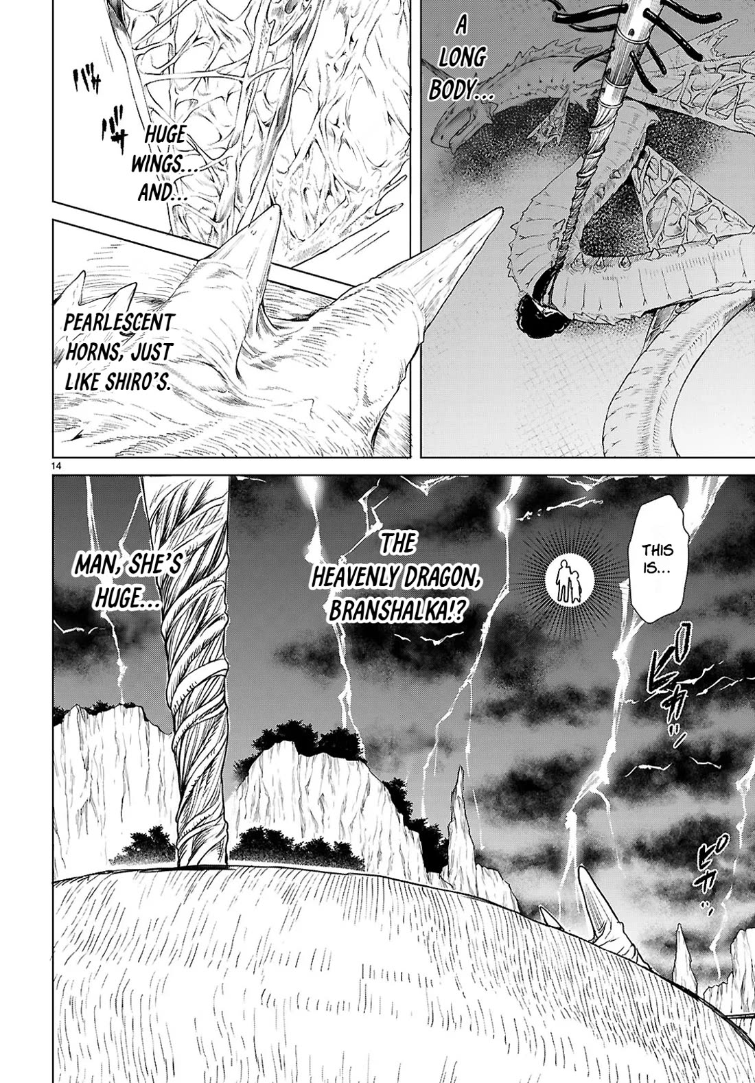 Isekai de Skill wo Kaitai shitara Cheat na Yome ga Zoushoku Shimashita: Gainen Kousa no Structure Chapter 89 page 13 - Chapter 89