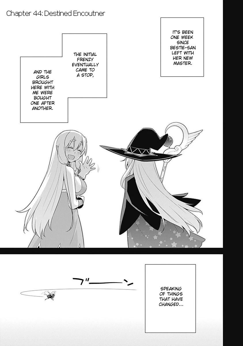 Isekai Elf no Dorei-chan Chapter 44 page 1 - Chapter 44: Destined Encounter