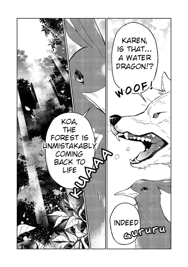 Isekai ni Otosareta… Jouka wa Kihon! Chapter 13.1 page 17 - Chapter 13.1