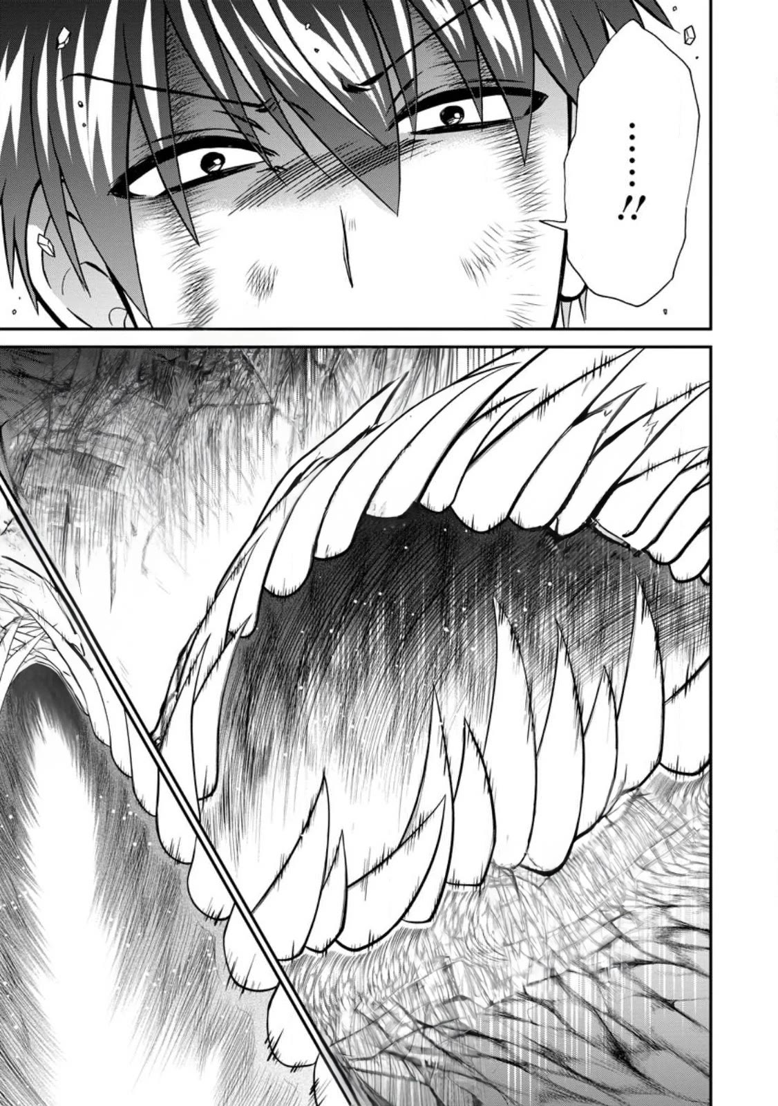Isekai Shoukan wa Nidome Desu Chapter 44 page 17 - Chapter 44