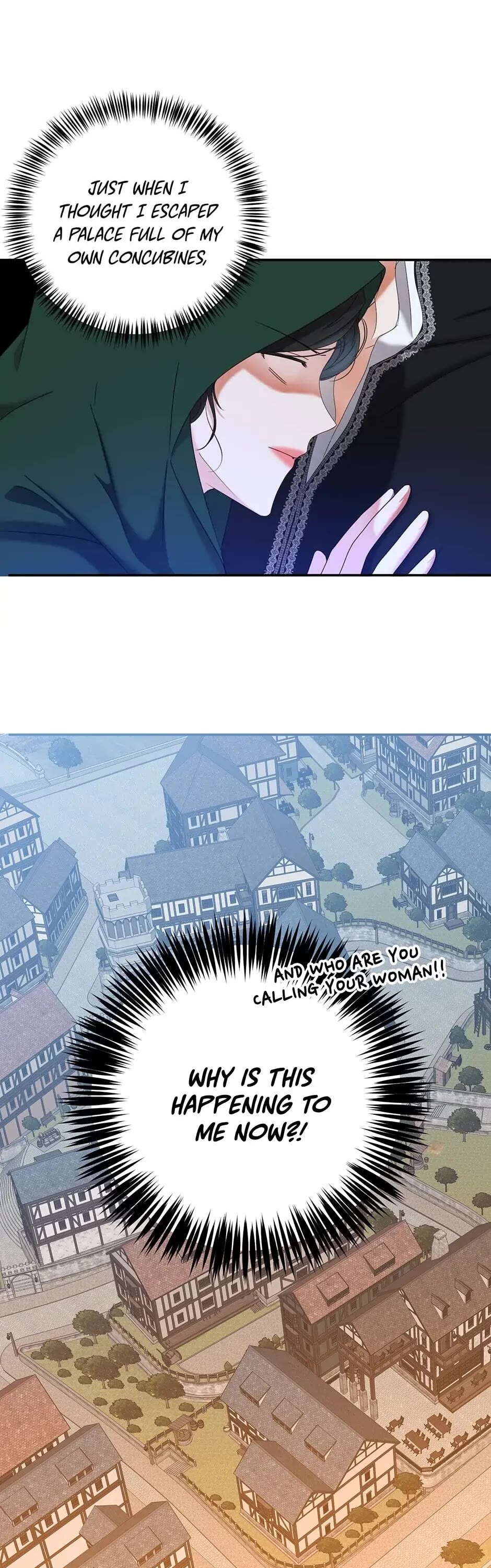 It Looks Like I’ve Fallen into the World of a Reverse Harem Game Chapter 55 page 28 - Chapter 55: Concubines Here?