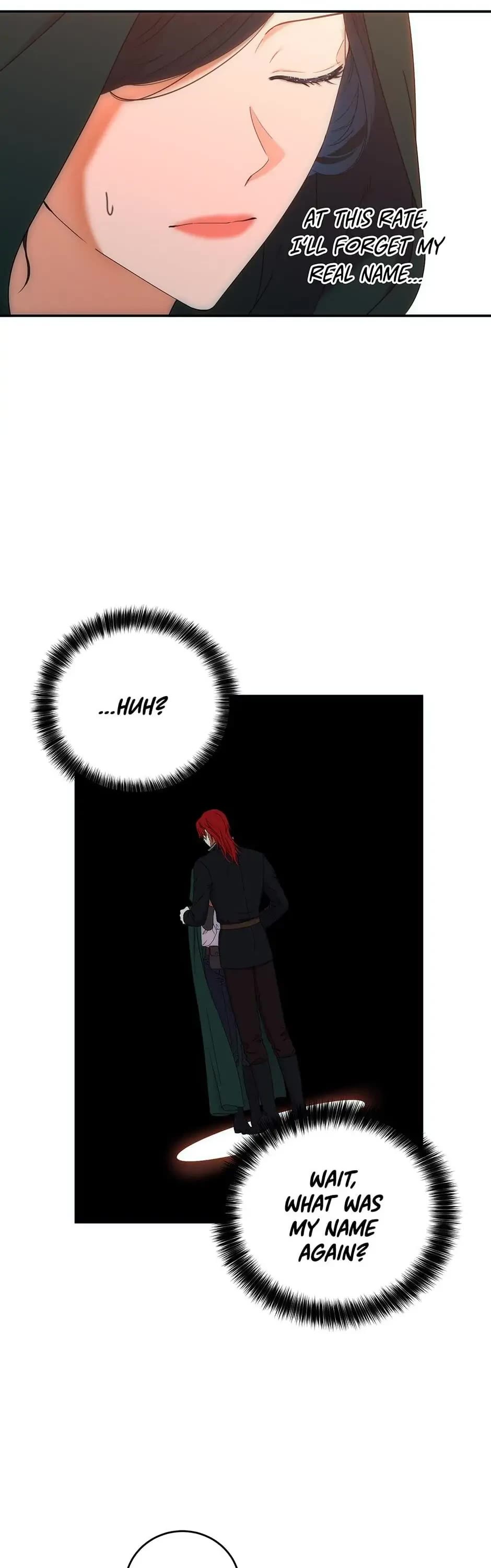 It Looks Like I’ve Fallen into the World of a Reverse Harem Game Chapter 56 page 17 - Chapter 56: The Main Character