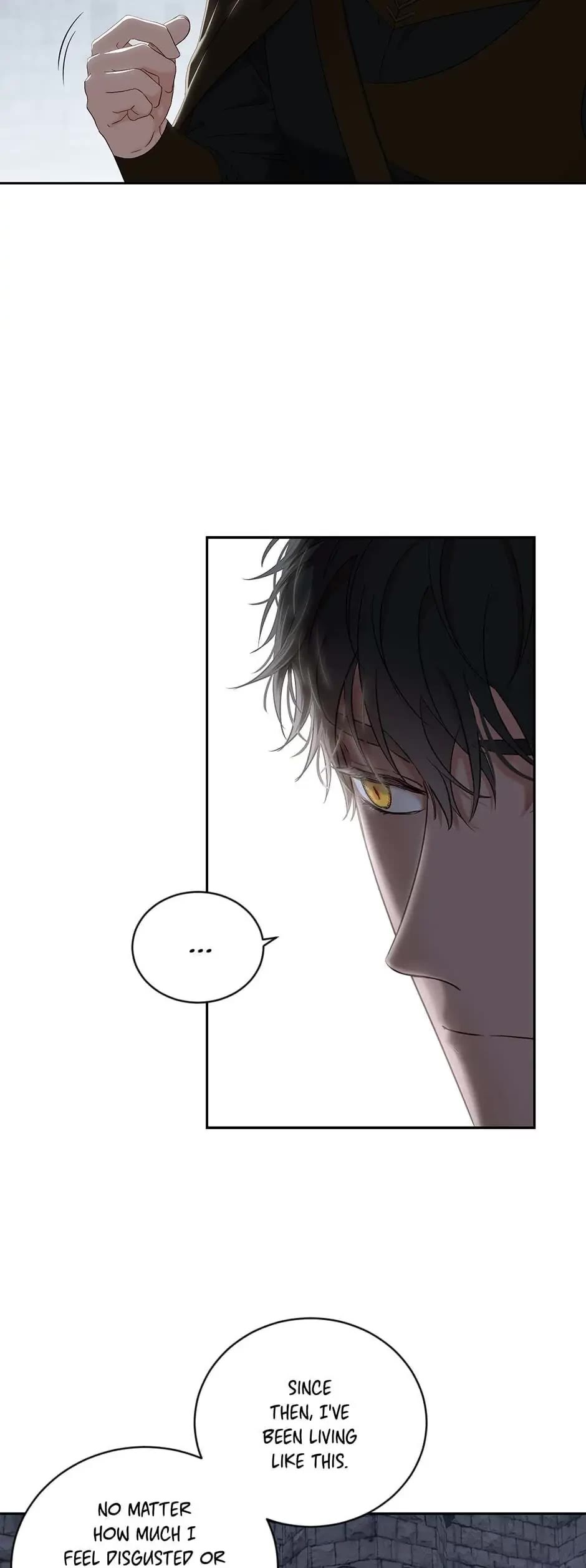 It Looks Like I’ve Fallen into the World of a Reverse Harem Game Chapter 66 page 25 - Chapter 66: A Token of His Promise