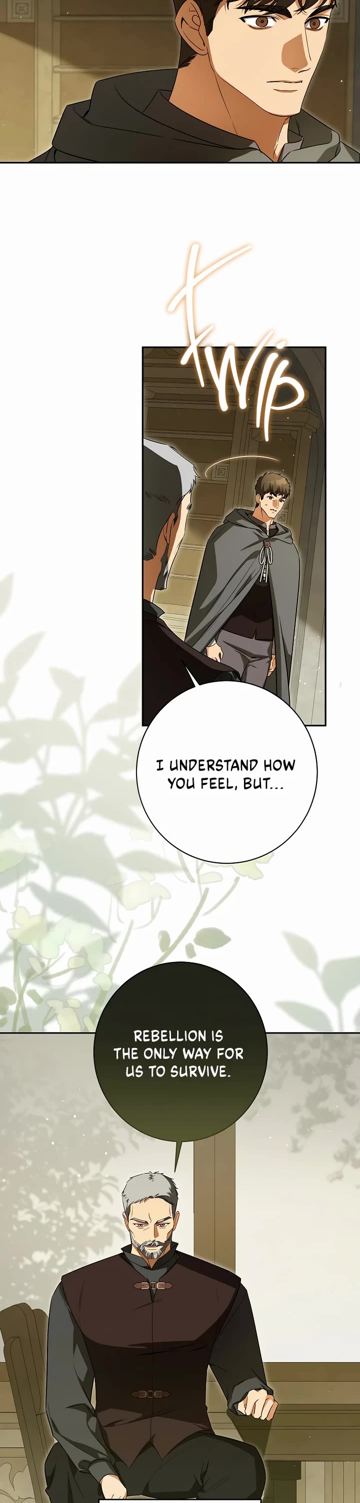 It Seems I've Transmigrated Somewhere Chapter 66 page 6 - Chapter 66