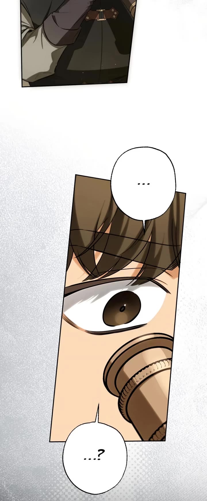 It Seems I've Transmigrated Somewhere Chapter 85 page 11 - Chapter 85
