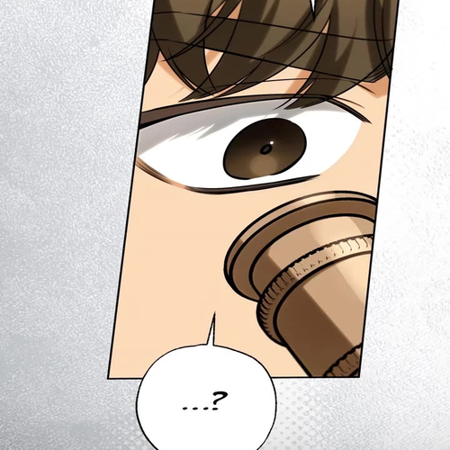 It Seems I've Transmigrated Somewhere Chapter 85 cover