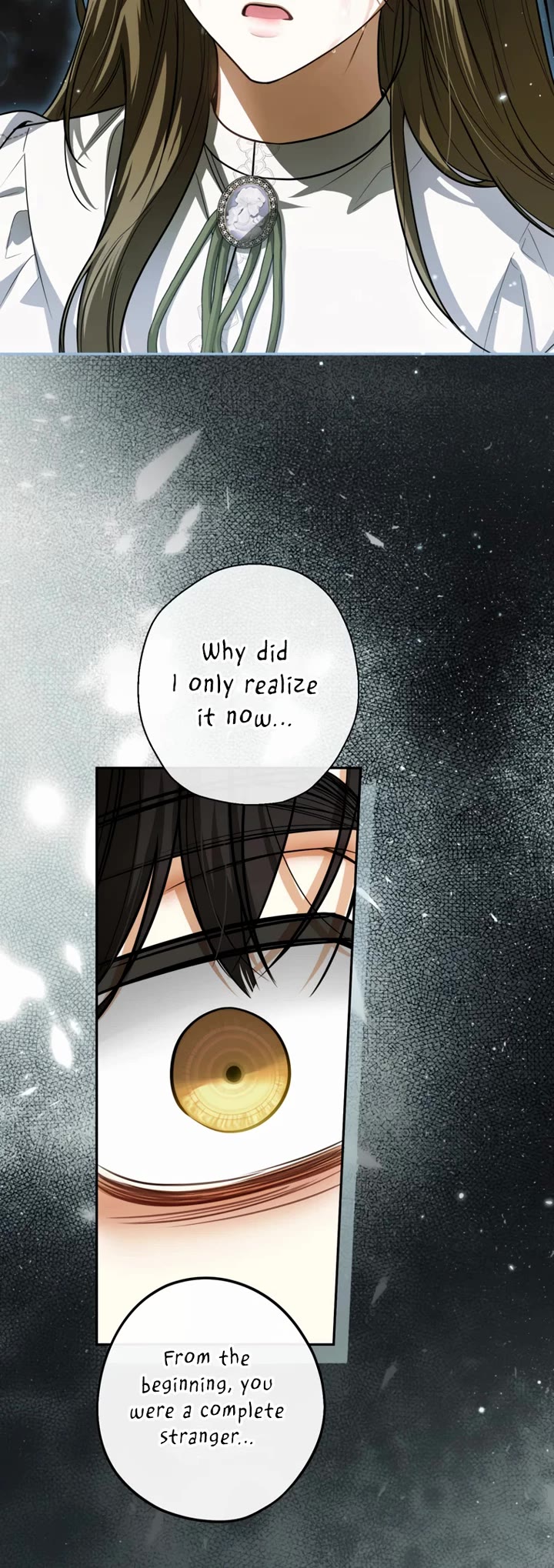 It Seems I've Transmigrated Somewhere Chapter 92 page 23 - Chapter 92