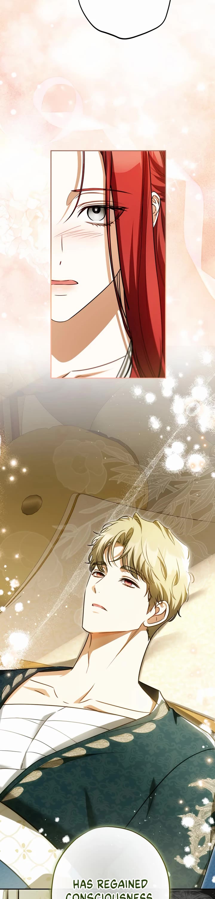 It Seems I've Transmigrated Somewhere Chapter 99 page 17 - Chapter 99