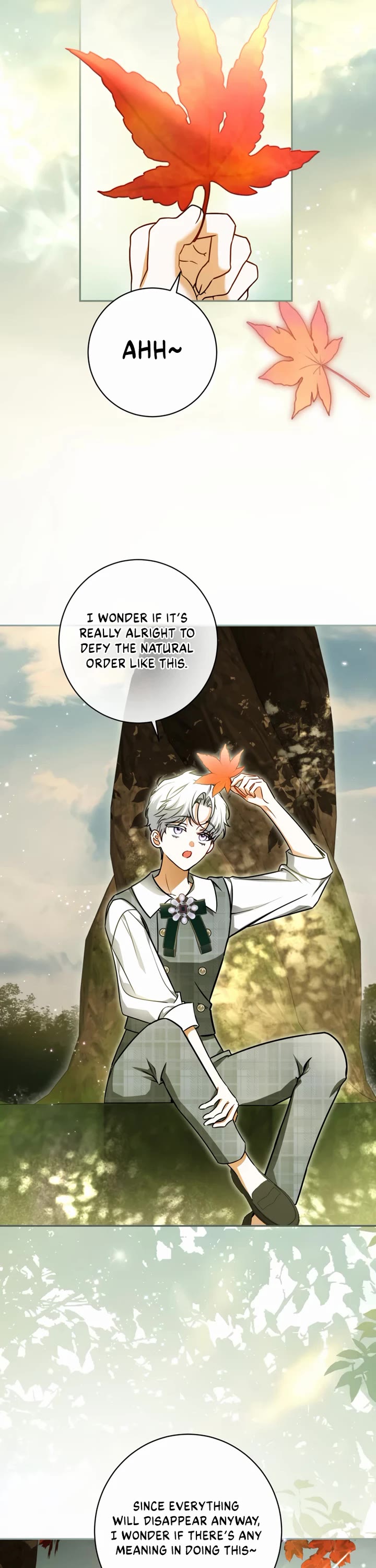 It Seems I've Transmigrated Somewhere Chapter 99 page 19 - Chapter 99