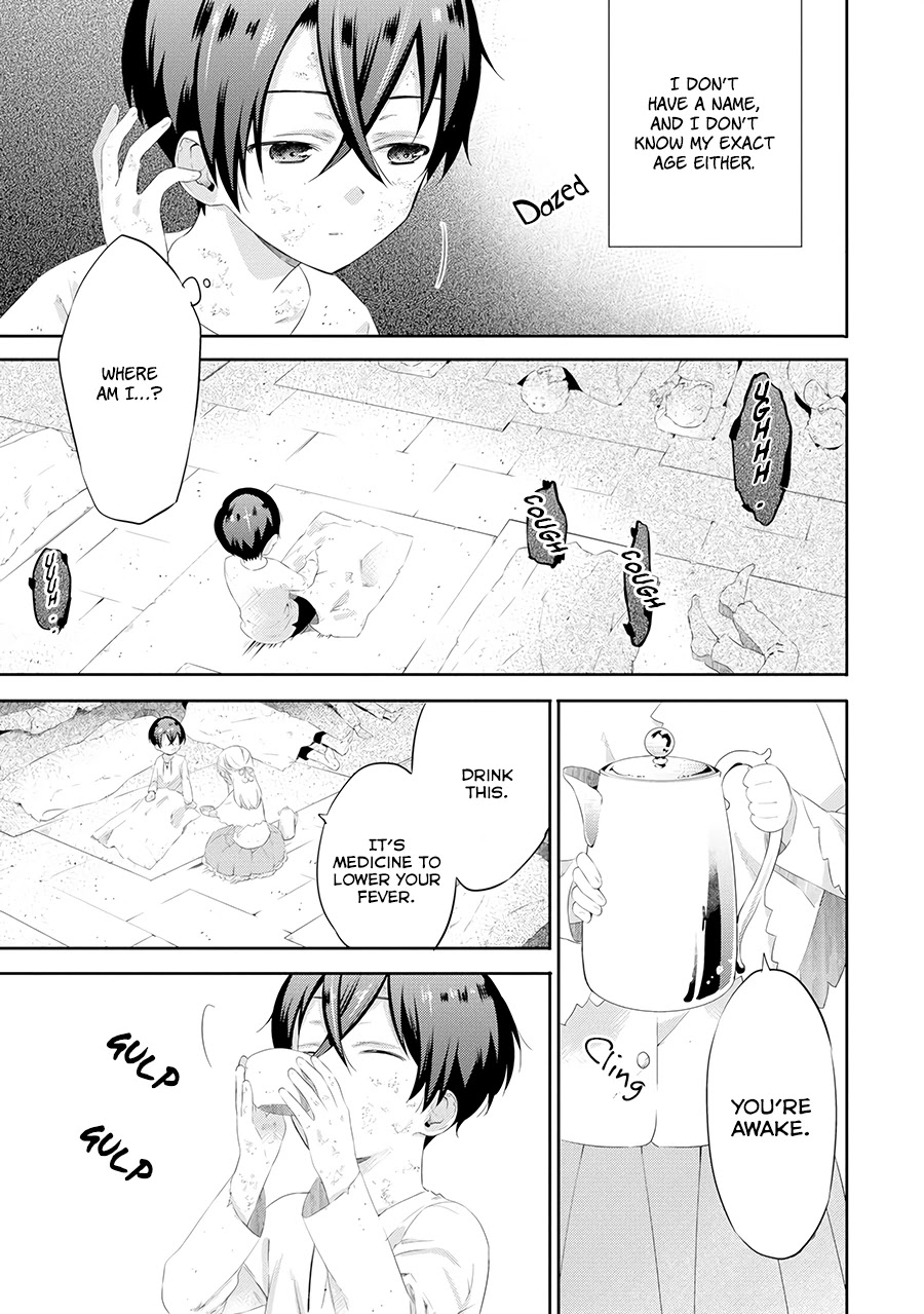 It Seems My Lady Is the Villainess with Only a Bad End, so I'm Thinking of Saving Her Chapter 1 page 15 - Chapter 1: My Lady and I