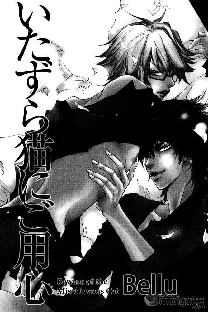 Itazura Neko ni Goyoujin Chapter 1 page 4 - Chapter 1