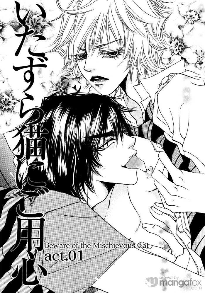 Itazura Neko ni Goyoujin Chapter 1 page 6 - Chapter 1