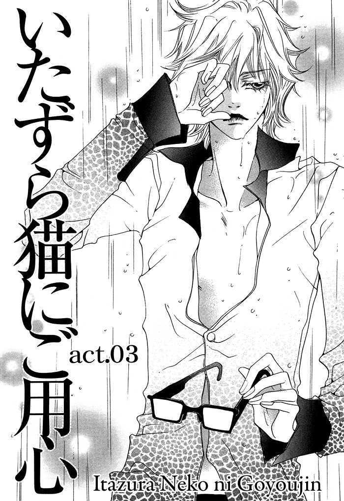 Itazura Neko ni Goyoujin Chapter 3 page 3 - Chapter 3