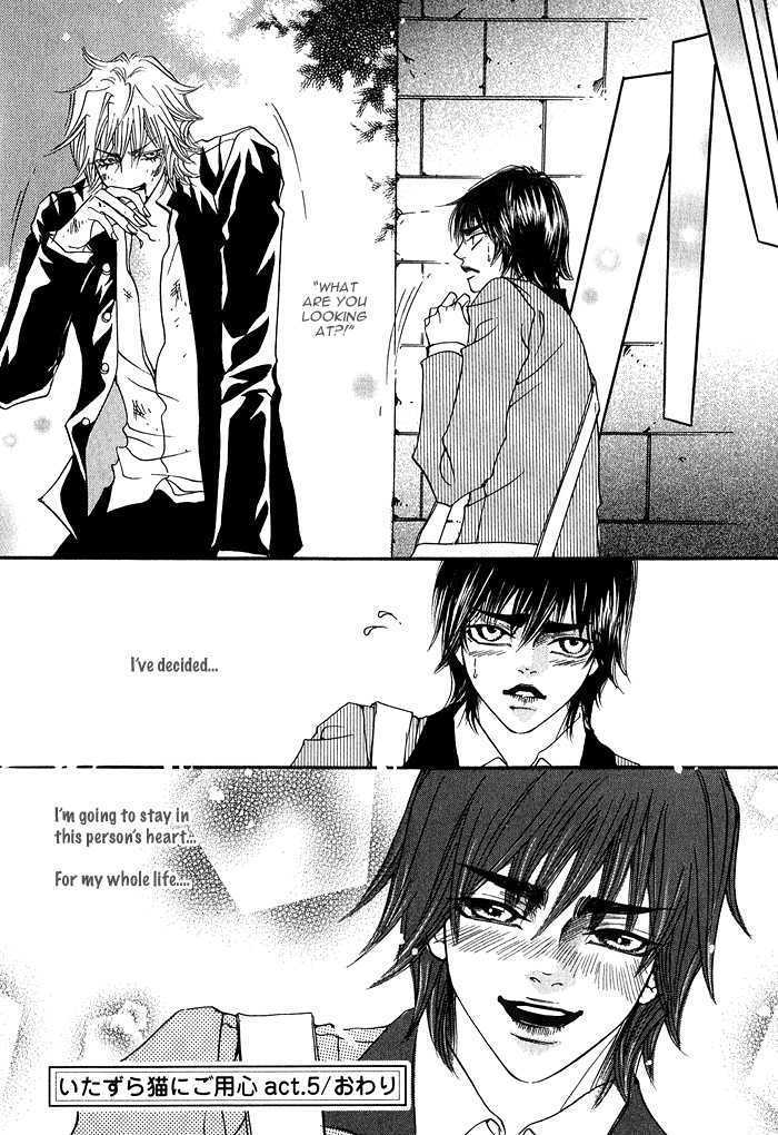 Itazura Neko ni Goyoujin Chapter 5 page 35 - Chapter 5