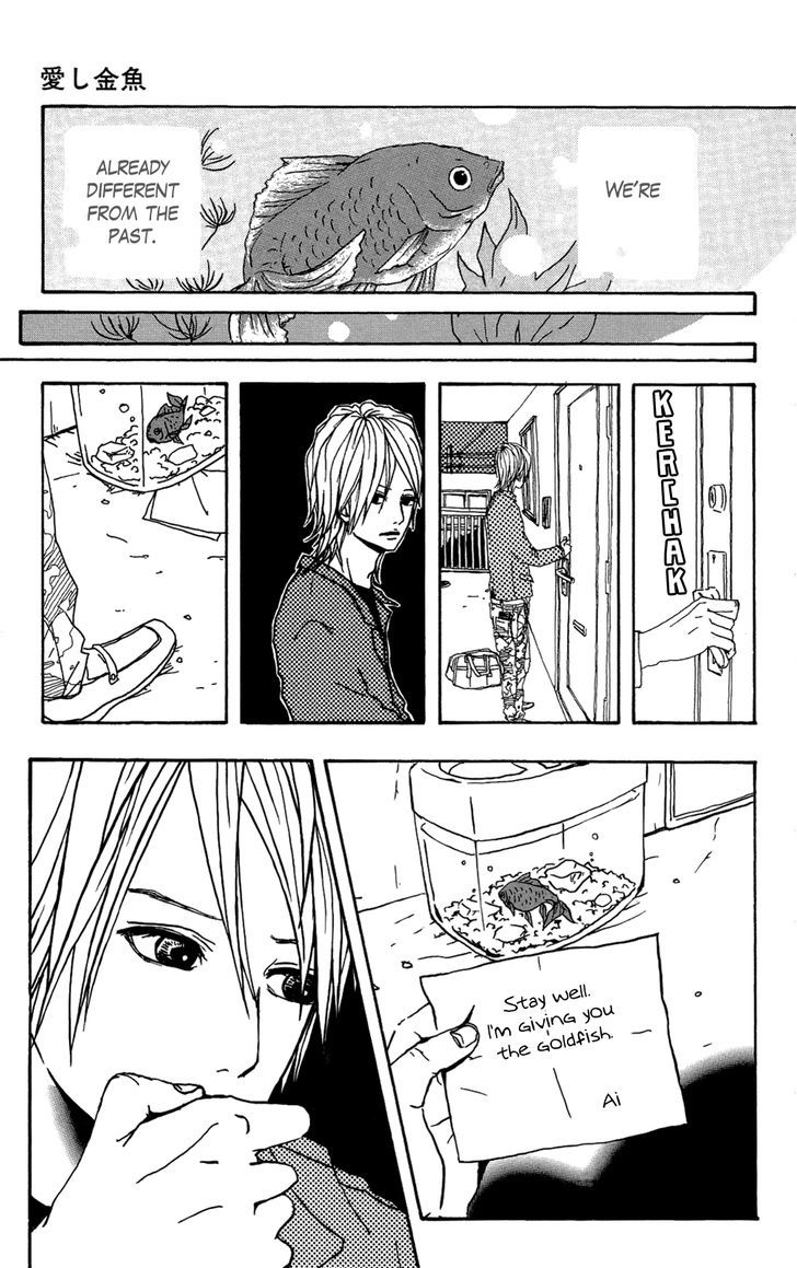 Itoshi Kingyo Chapter 1 page 20 - Chapter 1 : Beloved Goldfish
